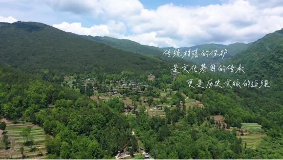 四川乡村频道图片