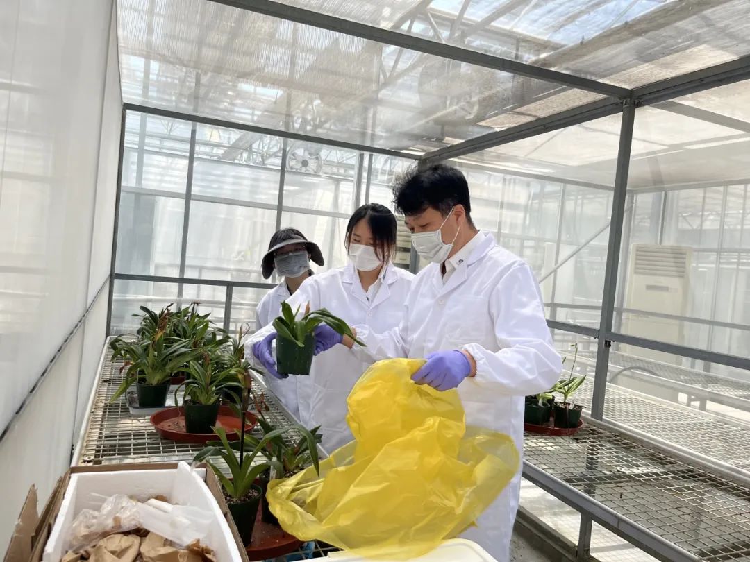 一起守"沪"森林!全市已建成林业有害生物检疫,监测,防治三大体系