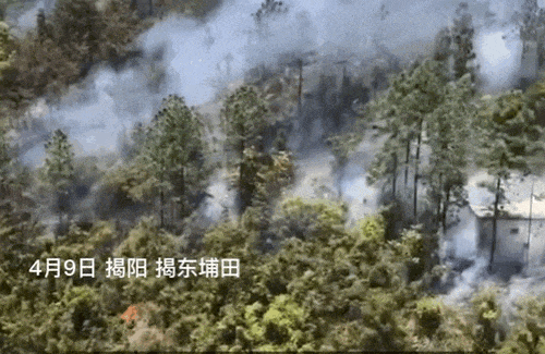 野外来场BBQ？这些问题要注意！