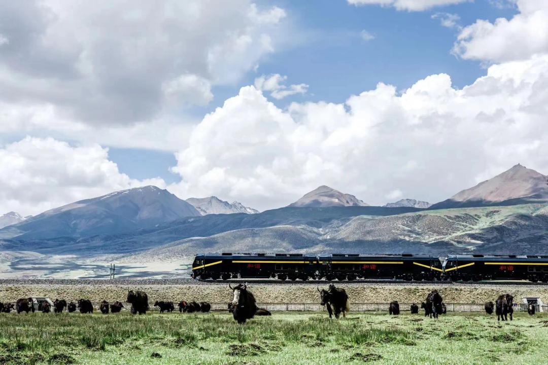 青藏线铁路旅游专列图片