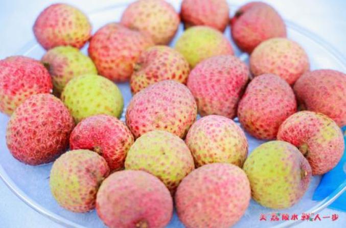 海南荔枝上新中!一起来看丰收时刻