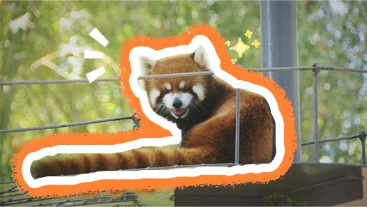 烦恼统统抛掉请收下这群深圳精灵发来的灿烂笑容常常令人喜笑颜开憨憨