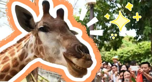 ▼(点击空白处迎笑容)04这一点是不是在你意料之外?