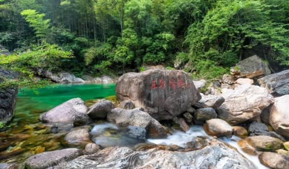 五指山翡翠谷图片