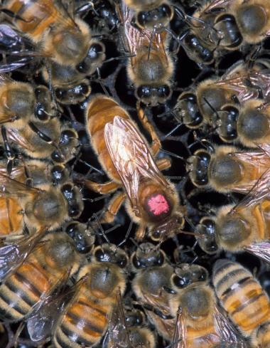 3岁女儿坚称墙里有怪物,砸开墙后竟然发现真的有