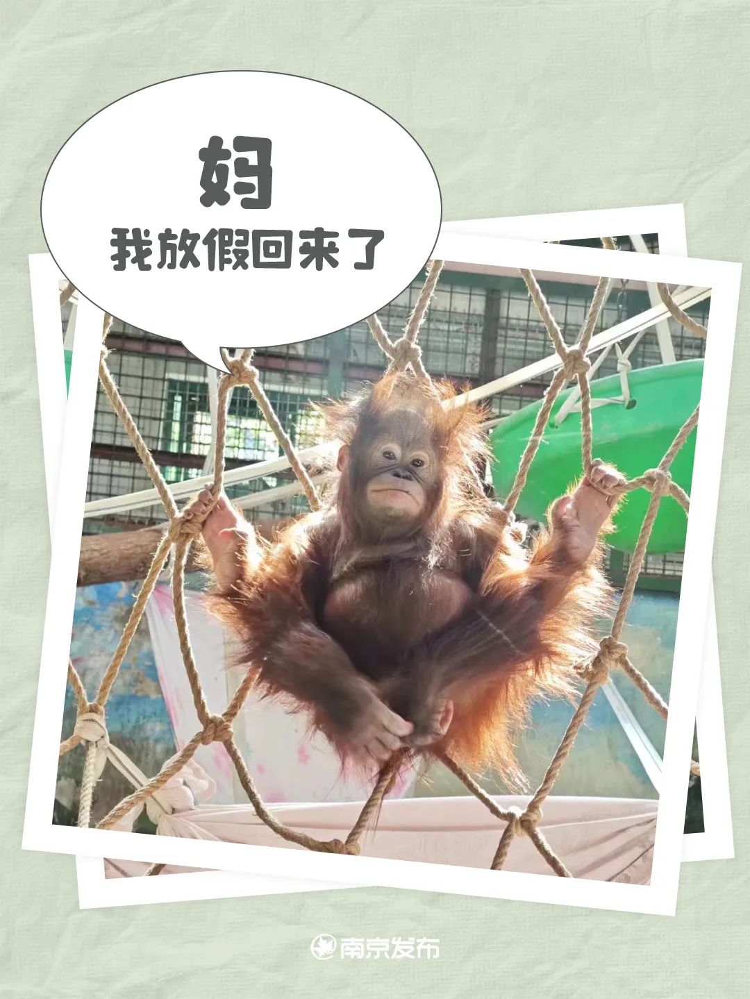老妈,明天听我安排!