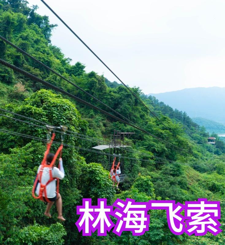 这个周末入园免费!来三水南丹山,给妈妈一个浪漫约会