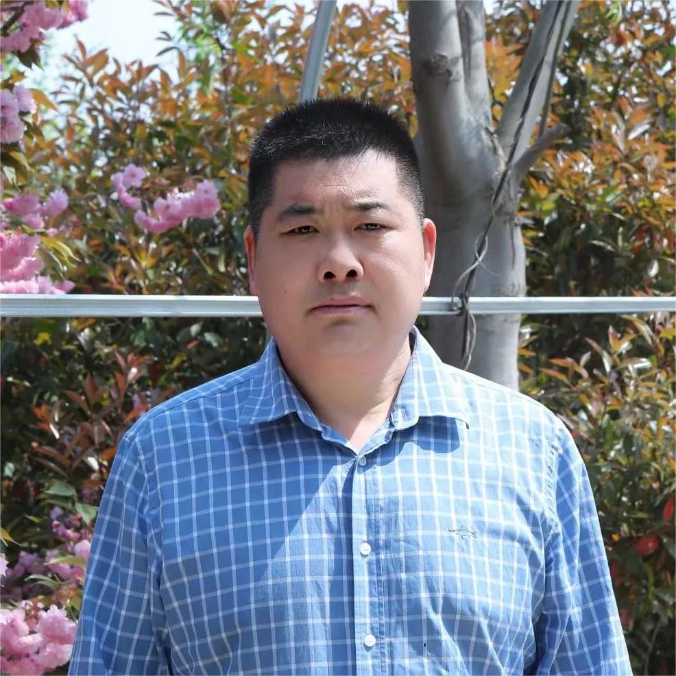 紫藤成廊鱼米香武河岸边白龙埠官湖镇白龙埠村让我们一起来看看他们的