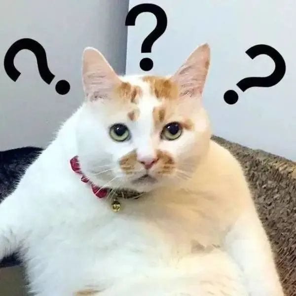 朱某多次微信联系雷某表达想要购买其游戏账号的意愿.