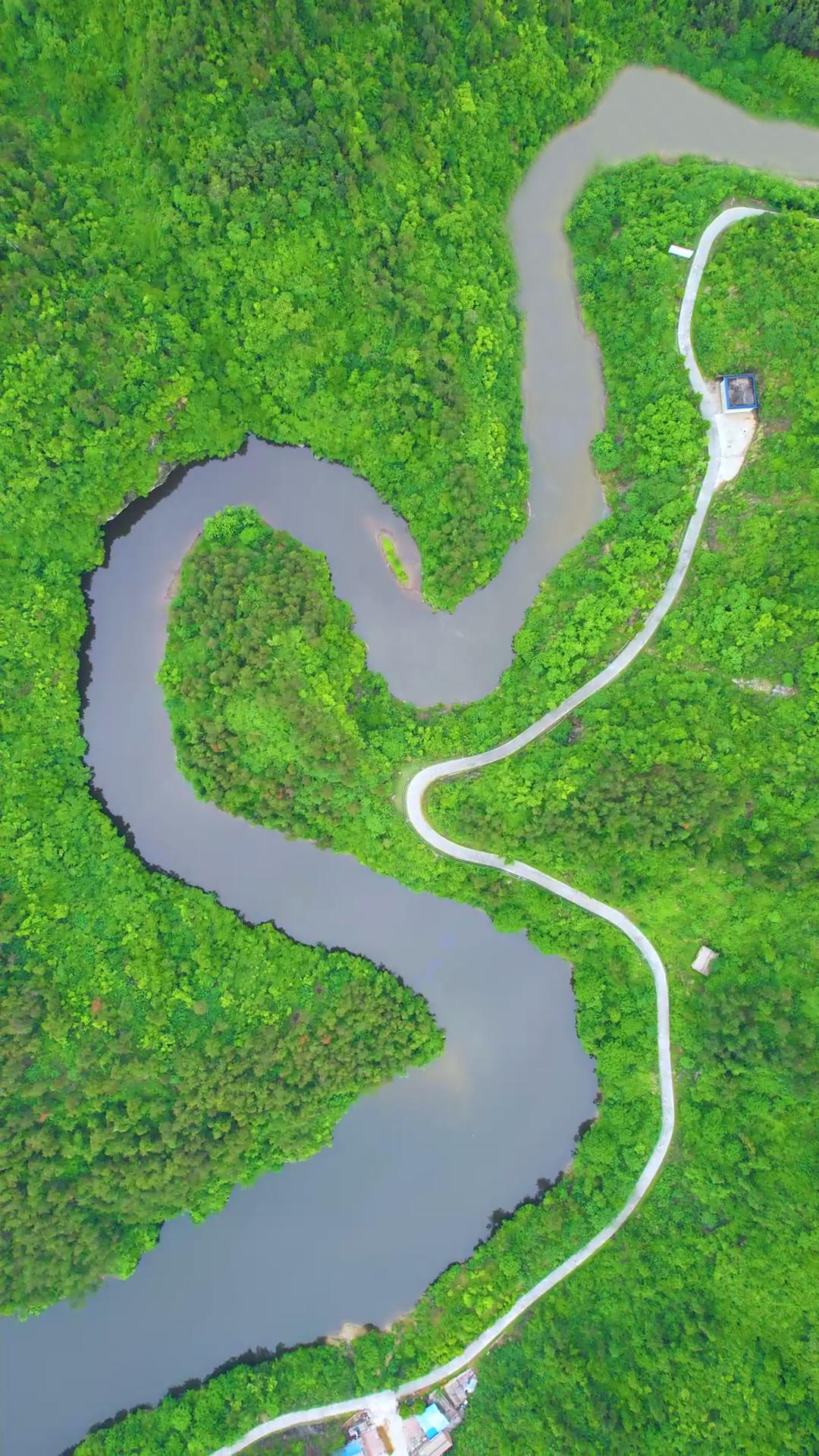 继「多巴胺][美拉德]后,[薄荷曼波]风吹入十堰.