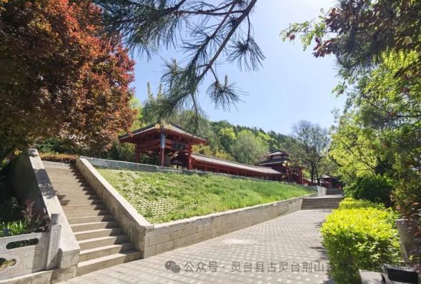 母亲节,来古灵台荆山森林公园开启一场爱的旅行吧!