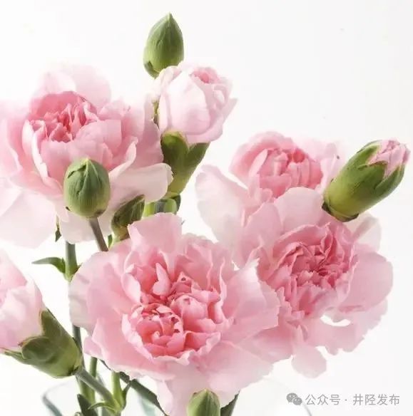 母 亲李培义剪灯缝补夜三更,一日三餐亲手烹.