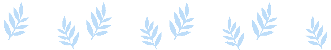 二!"一"!直击运动会的超绝"一"瞬间!