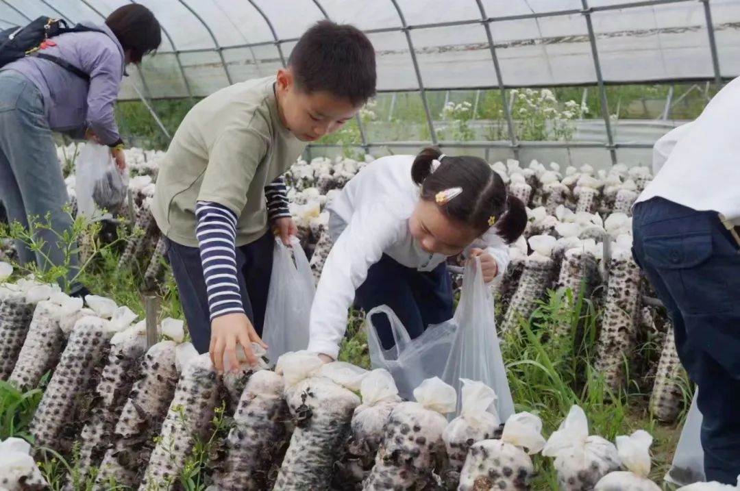 建成章堰科技农业园,章堰村文化馆,中建八局人才发展中心,堰集餐厅