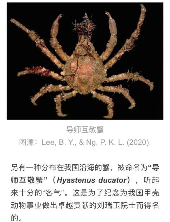 导师互敬蟹科研人士必备正直爱洁蟹建议纯爱战士人手一个的红色相机蟹