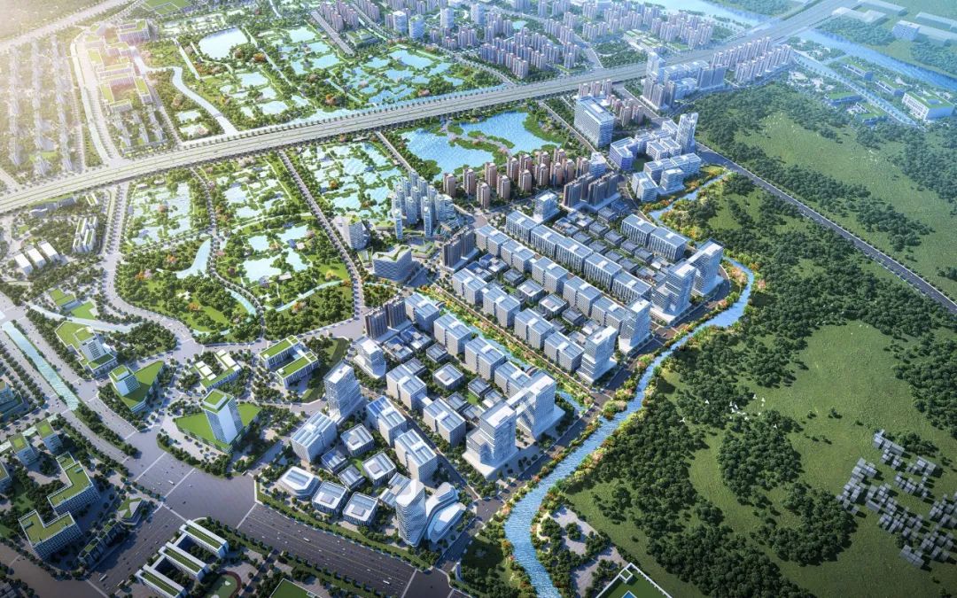 13价肺炎疫苗,佛山三区可免费接种!数量有限!| 佛山早班车_澎湃号·政