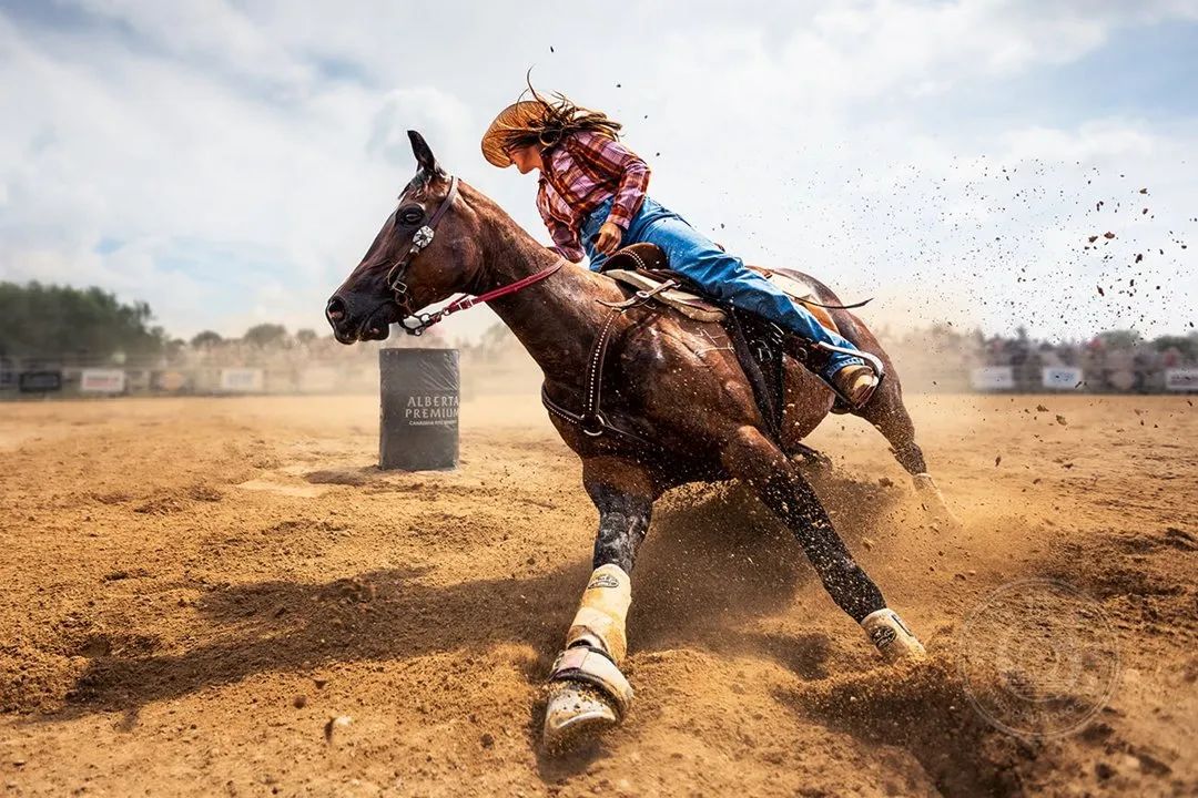 揭晓 | 2024年aap摄影大赛获奖作品公布