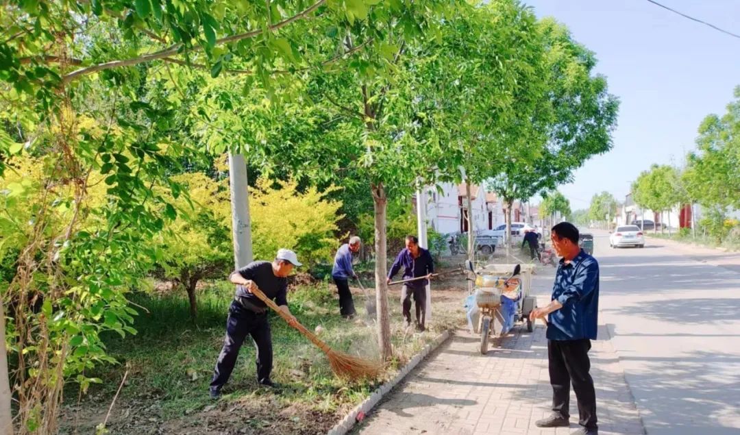 南皮县王寺镇开展"免费义诊进农村 人居环境治理惠民生"主题活动