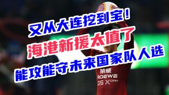 挖宝还得去大连，海港新援王振澳成国足新希望，攻防都很强