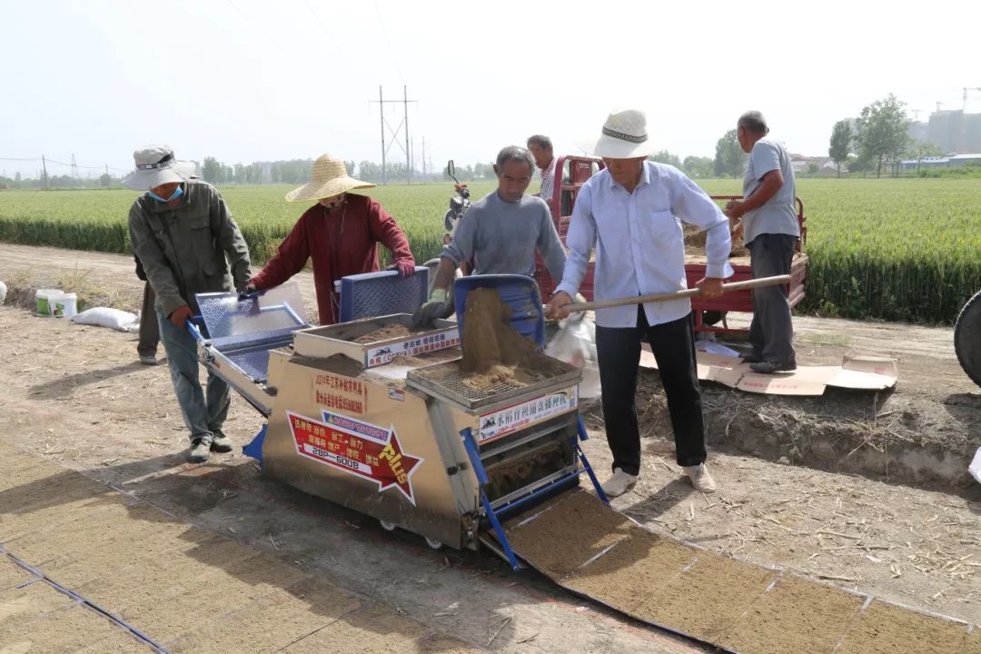 农业技术员和社员们正忙着育水稻秧苗,整理秧盘,向机器里递育秧盘,装