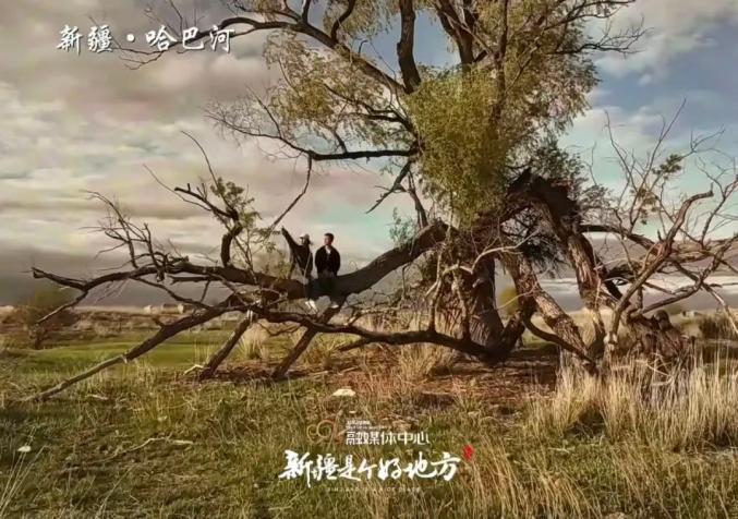豆瓣8.7分!看完《我的阿勒泰》,只想去李娟的家乡走走