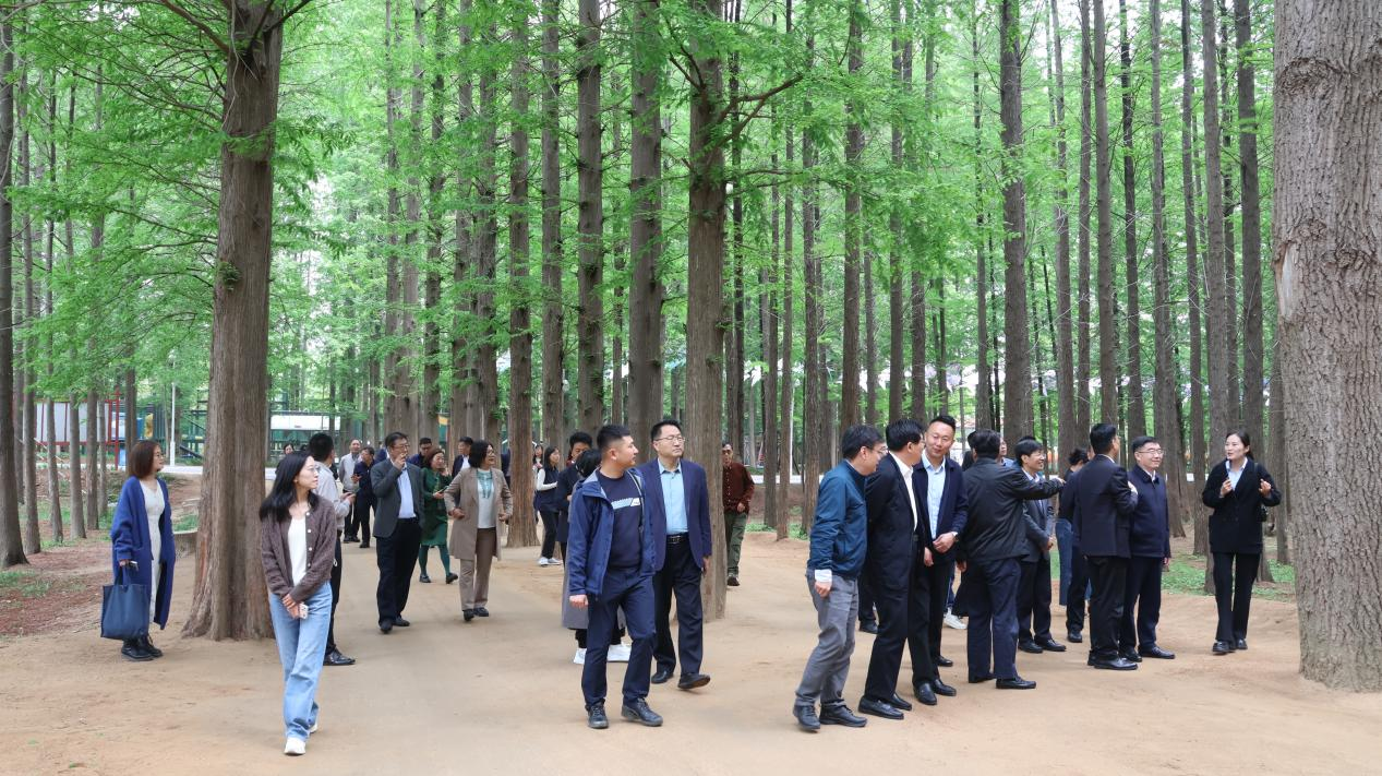 这场盛会,为何连续六年"落子"日照?