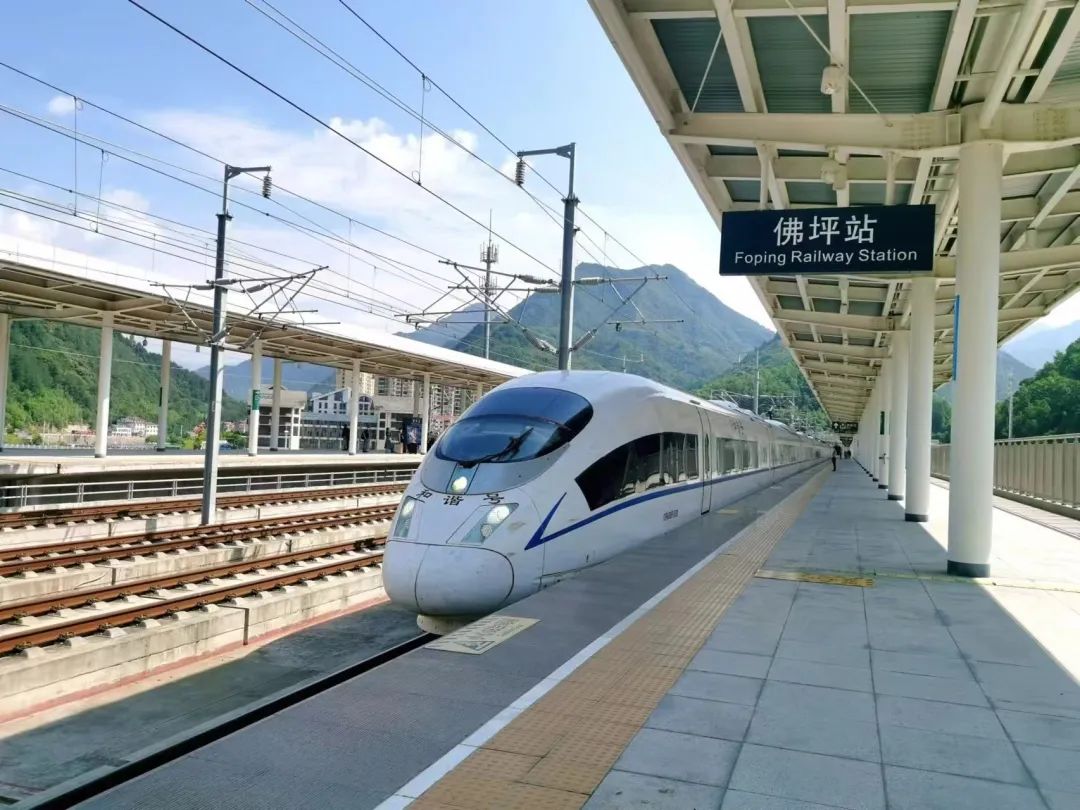 "熊猫高铁站"最近太火了!