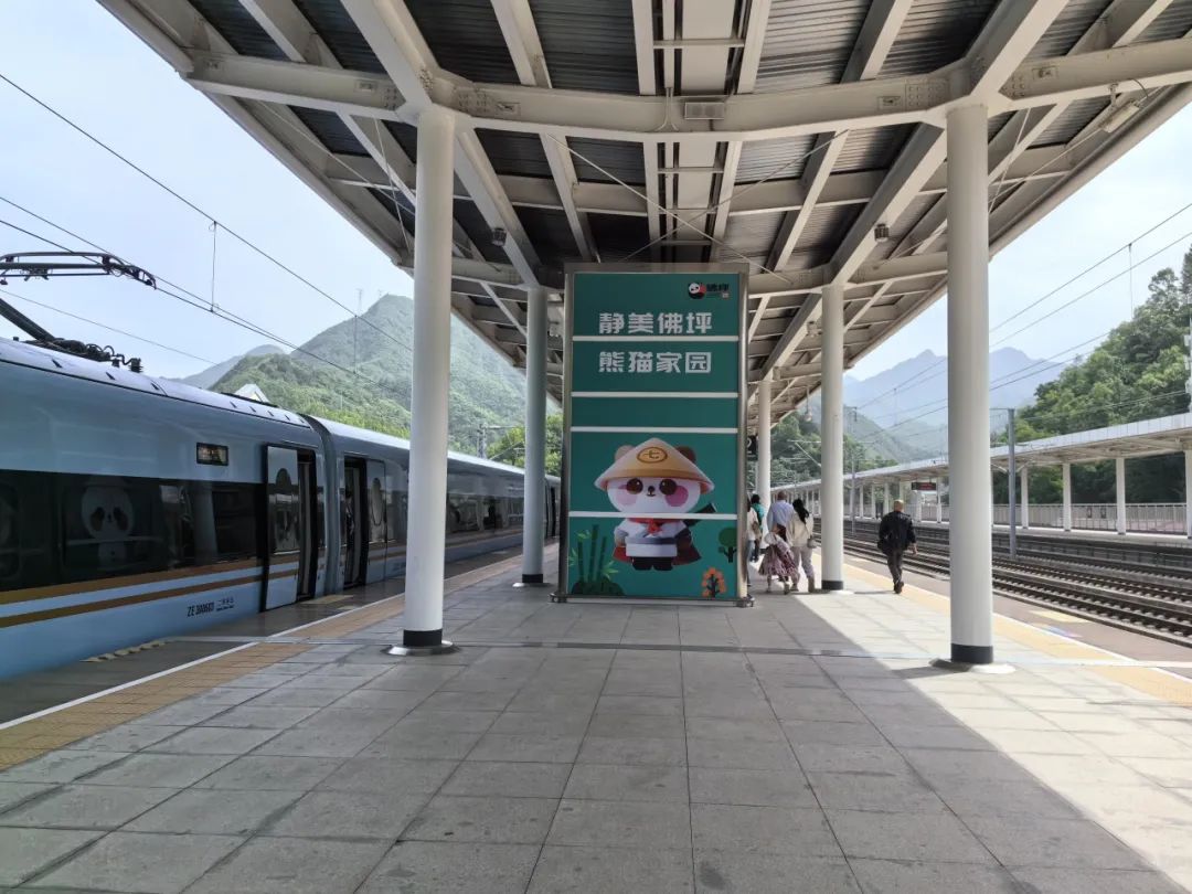 "熊猫高铁站"最近太火了!