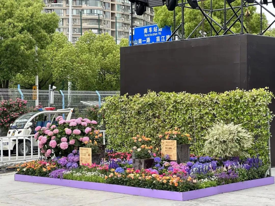 主题景点 外围布置,奥运资格赛氛围组已上线!