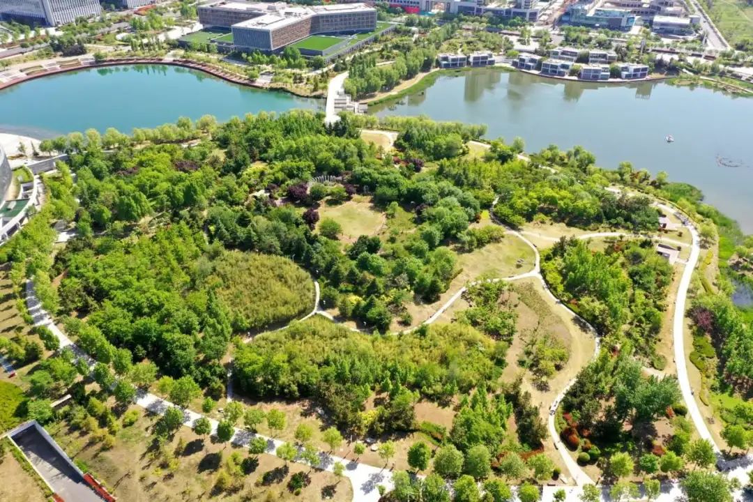 5月12日,在山东省青岛市即墨区龙泉湖沿岸拍摄的风光.