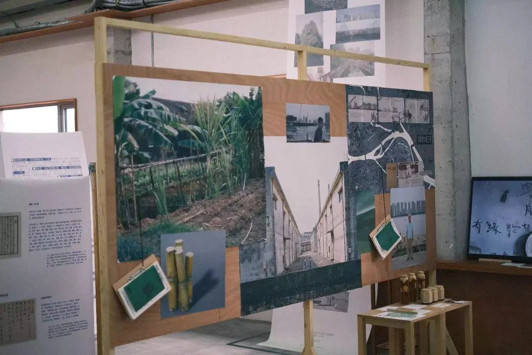 在对大邑雾中山的野茶种植和制作有了一定调研后,联合本地的"山野制茶