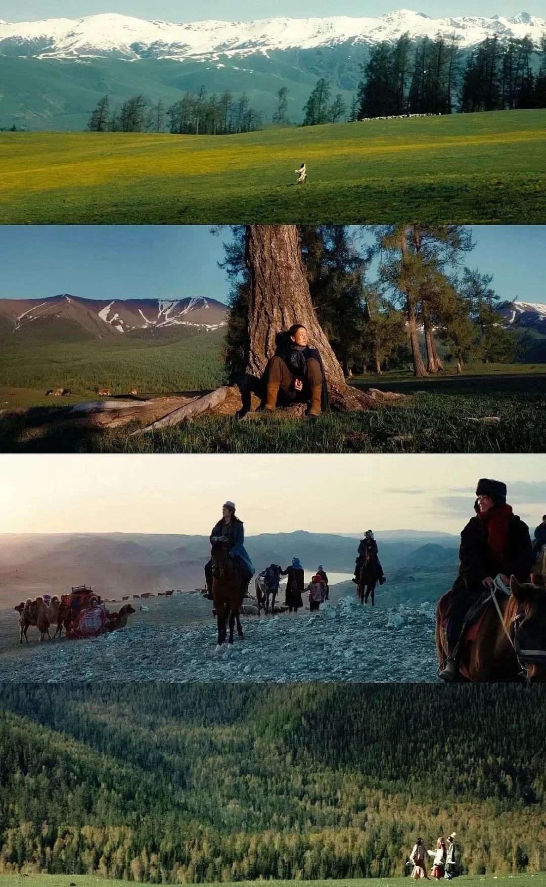 从散文到电视剧,《我的阿勒泰》何以打动远方的人们?