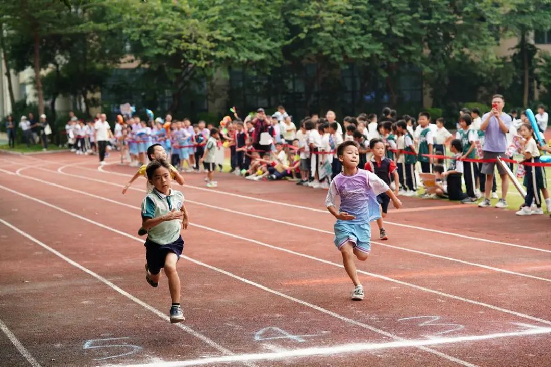 小学东校区项目),惠景中学附属小学,聚锦小学新建项目及2所幼儿园建设