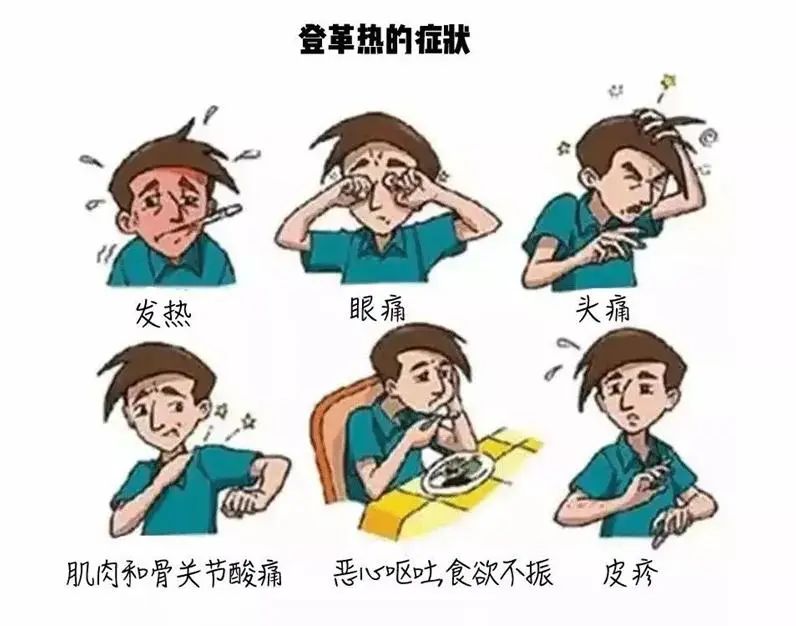 登革热防范不放松,五一旅游归来需警惕!