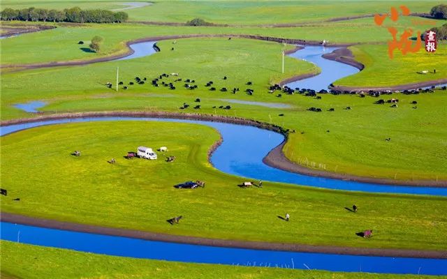 甘南玛曲:玛曲湿地美 黄河润草原
