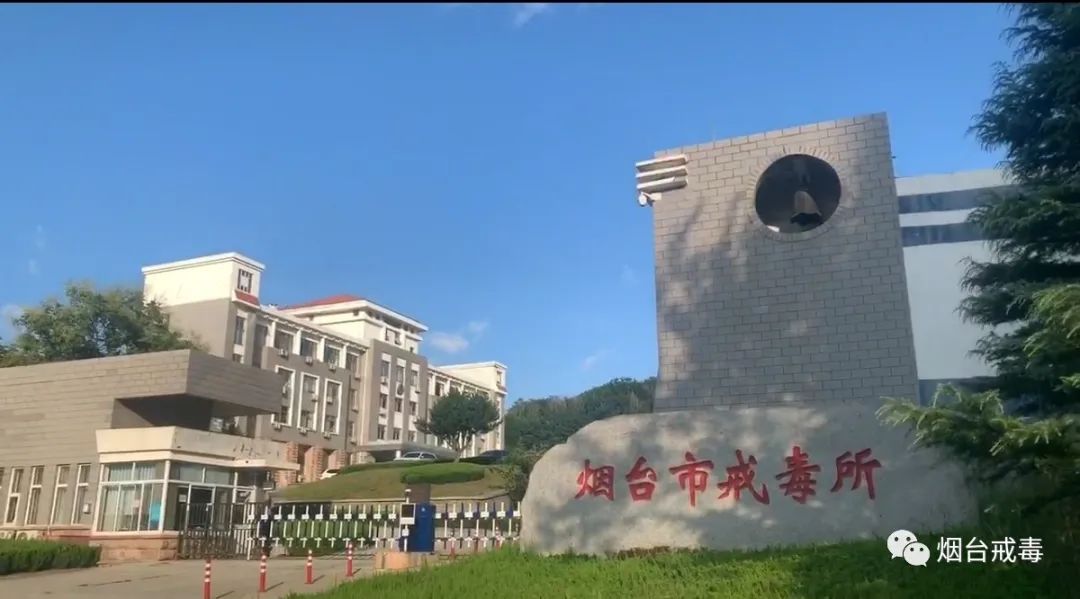 "主责主业突破年"系列报道(八):内外兼修互济  双向驱动发力