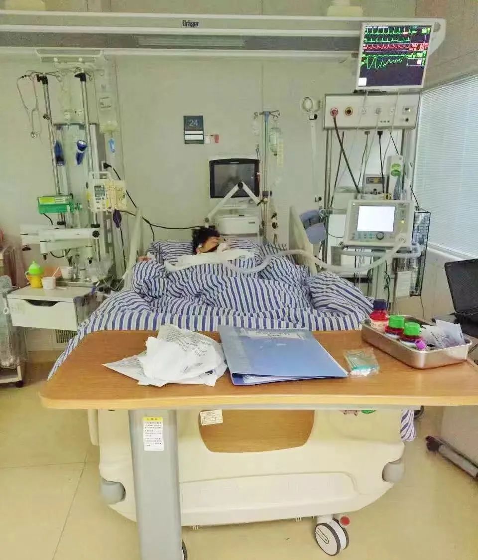 与病魔斗争,一个白血病女孩的重生之旅