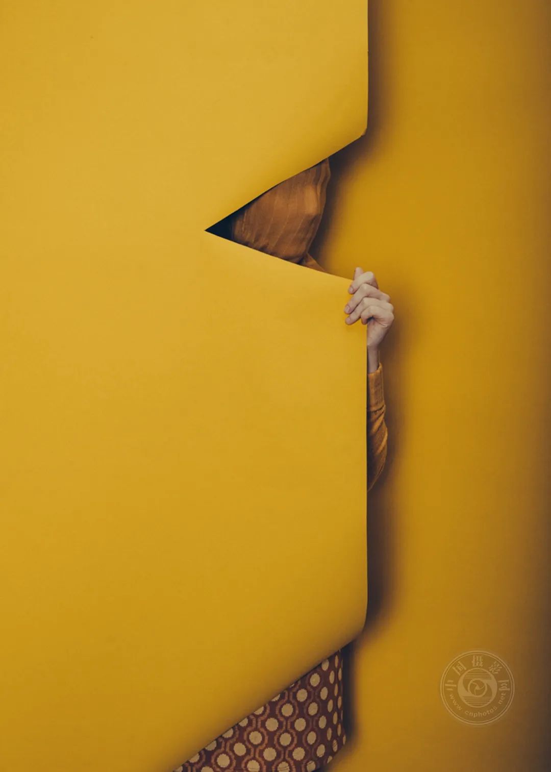 中国摄影网高鹏飞获提名,2024第十届fapa(概念组)获奖作品公布