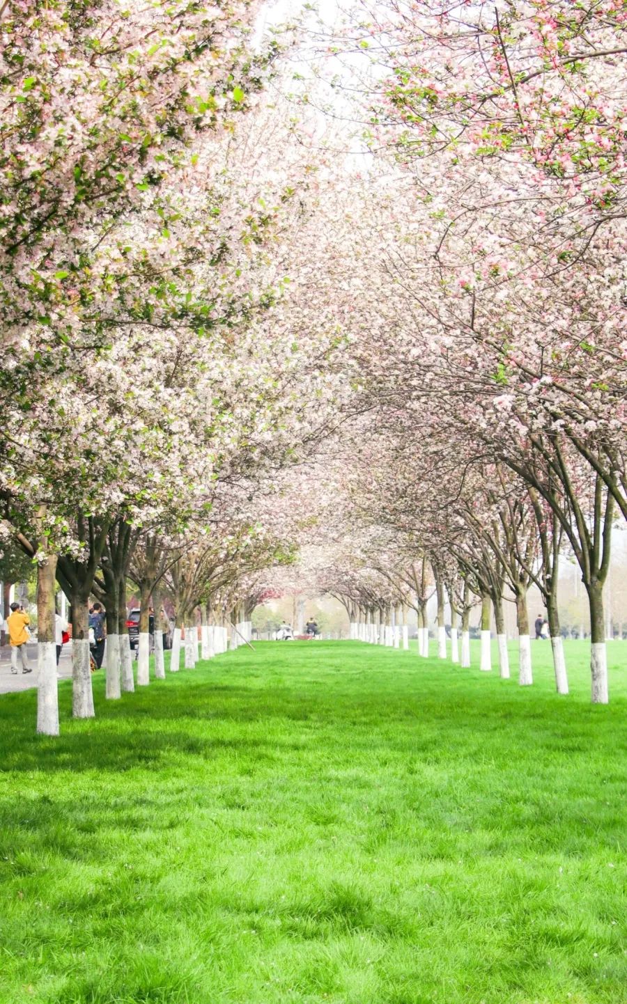 西南交通大学128岁生日快乐 !