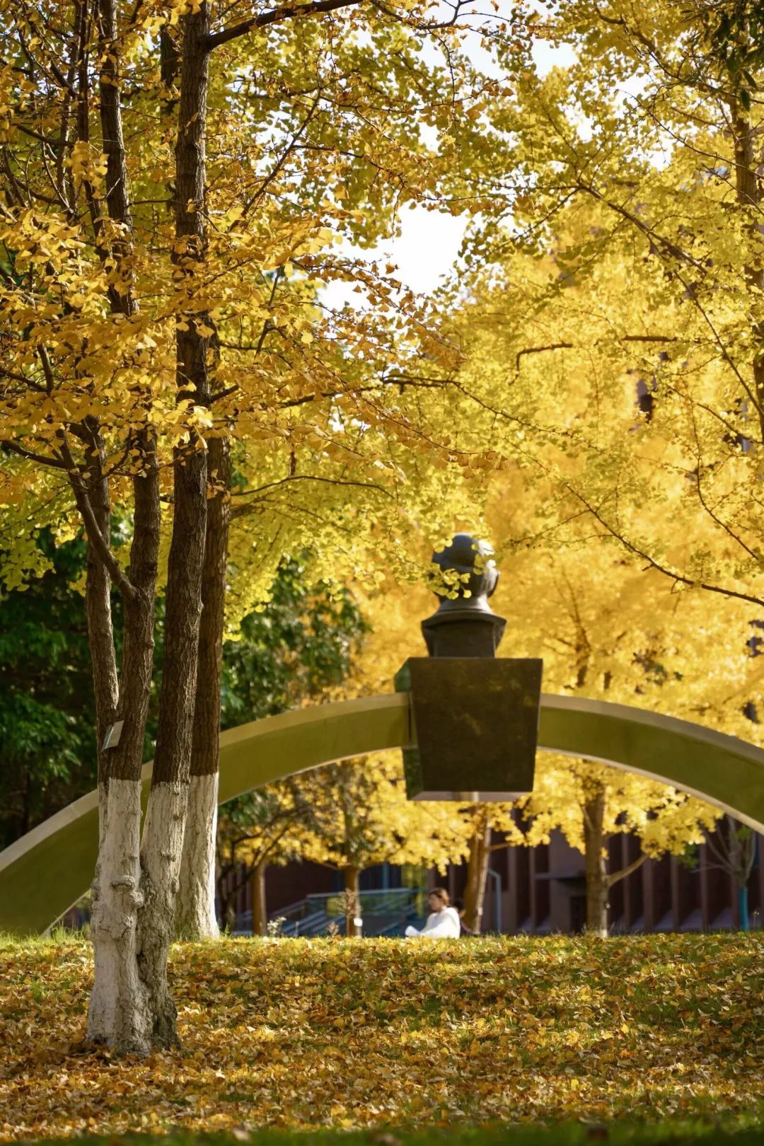 西南交通大学128岁生日快乐 !