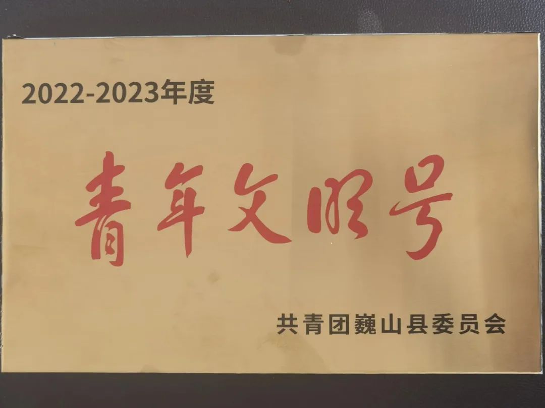 喜报!巍山法院立案庭荣获"青年文明号"称号