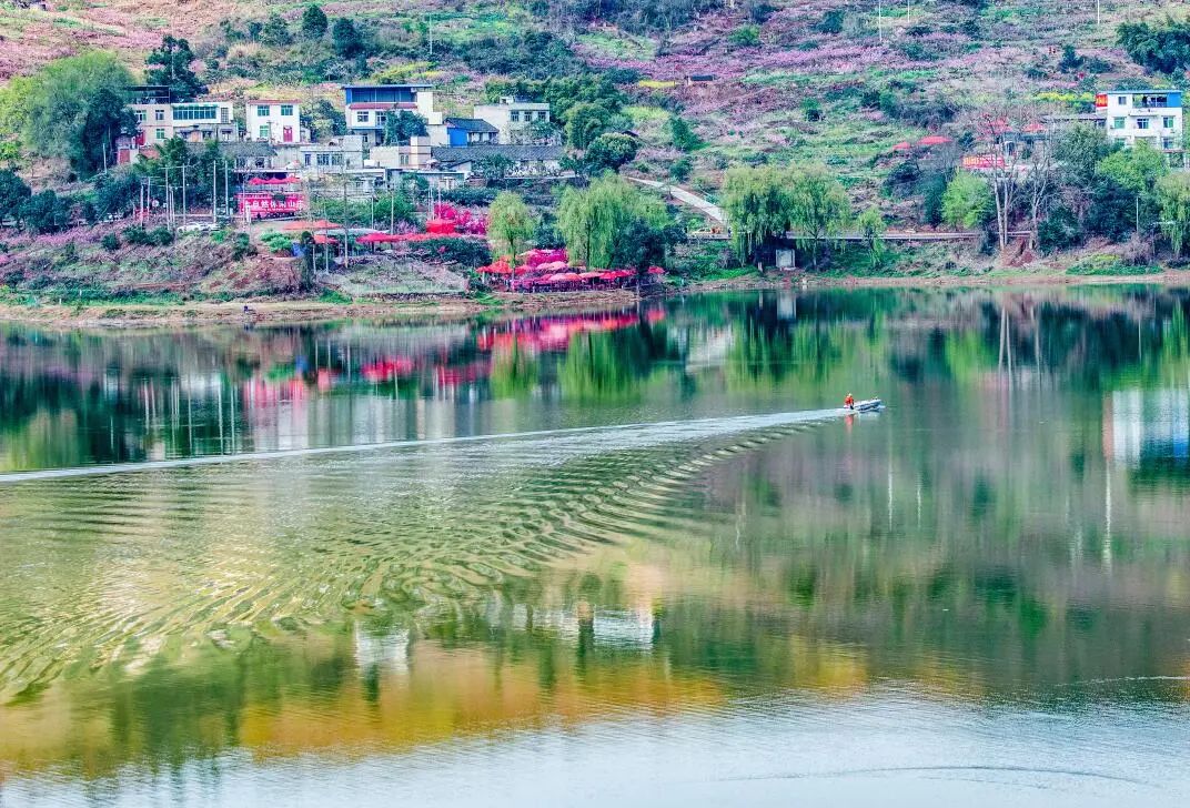 现场直击丨未雨绸缪!看龙泉驿如何防汛备汛