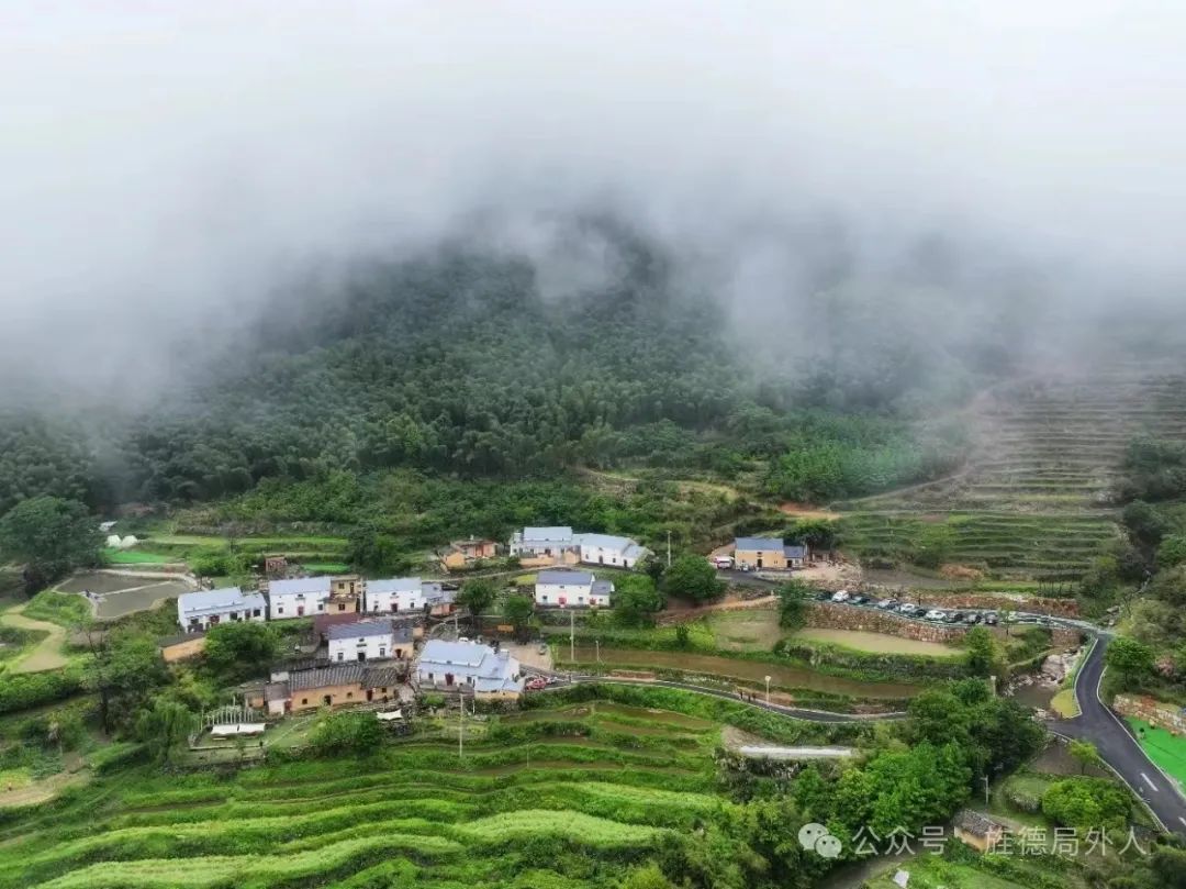 小满佳期,来艺术乡村办一场田园婚礼吧