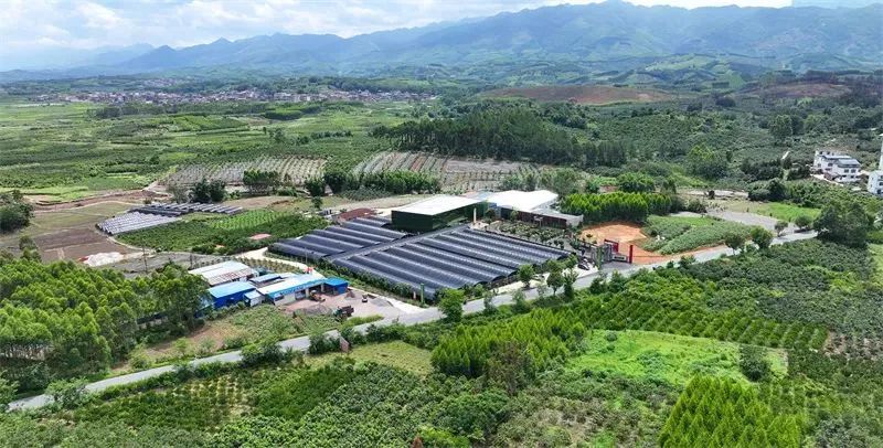 【招商经验】广西金秀依托生态优势和医药资源发展瑶医药——因地制宜