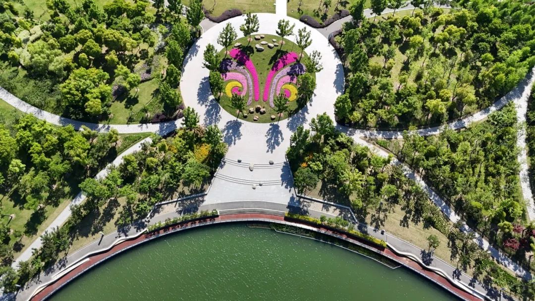 惊艳!上海之鱼年丰公园飞来一只"花蝴蝶"