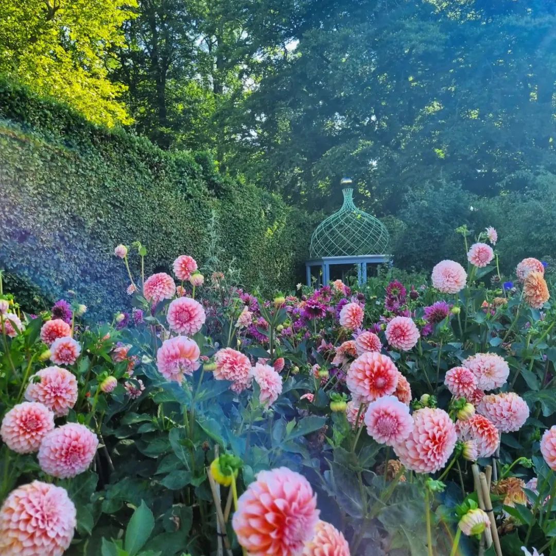 绿意和色彩盎然弥漫各处,花园根据花的品种和颜色分成不同区域,树木和