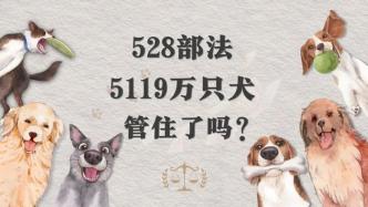 528部法，5119萬只犬，管住了嗎？