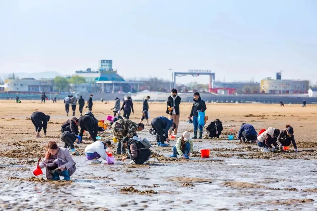 夏日阳光懒洋洋地洒在刘家湾赶海园的海滩上,带上小铲和水桶,轻踏细软