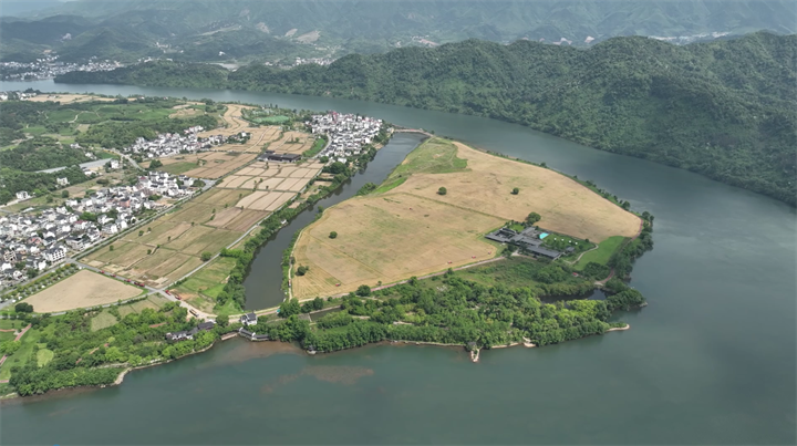 建德下涯镇之江村的麦田收获啦 五台收割机帮农户奏响丰收的喜悦