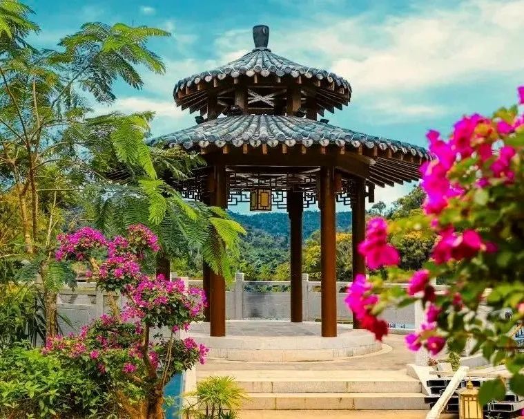 来海南打卡"天然氧吧"!呼吸一口新鲜空气吧